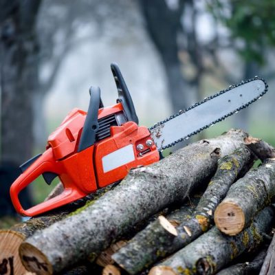 Бензопила STIHL MS 250